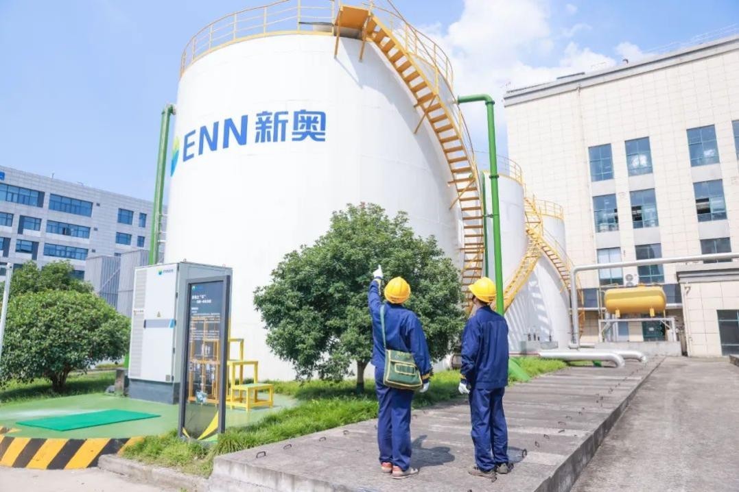 新澳资料大全正版资料2025年免费|特性释义解释落实,新澳资料大全正版资料2025年免费，特性释义、解释与落实
