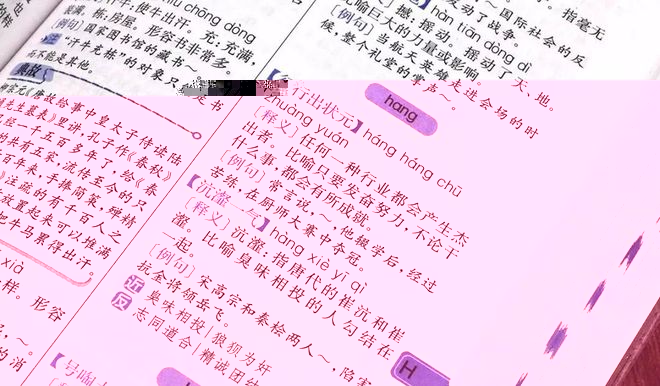 最准一肖一码100%精准软件|成语释义解释落实,最准一肖一码与精准软件的探索，成语释义解释落实的深度解读