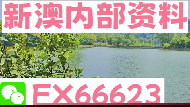 新澳精准资料免费提供4949期|坚持释义解释落实,新澳精准资料免费提供，4949期的坚持释义、解释与落实