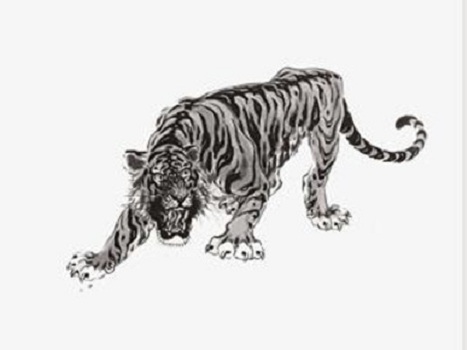 2025今晚开的四不像生肖图|思路释义解释落实,关于四不像生肖图与未来展望的思考